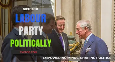 Where Does the Labour Party Stand Politically Today?