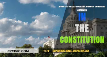 The Constitution: Congress and Legislative Branch