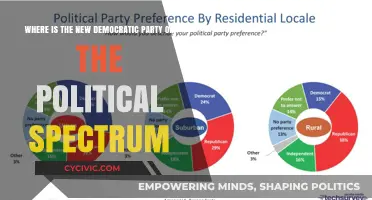 The New Democratic Party's Political Spectrum Position: A Detailed Analysis