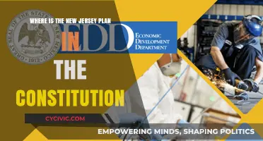 The New Jersey Plan: A Constitutional Compromise