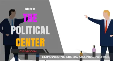 Finding the Political Center: Navigating Polarization and Common Ground