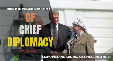 Diplomacy Power: President's Chief Role Explored