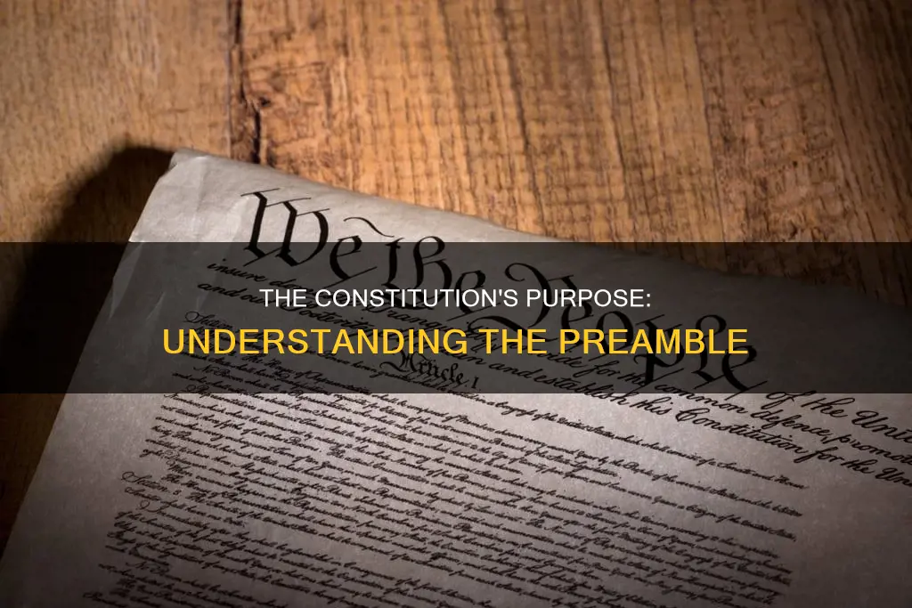 where is the purpose of the constitution found