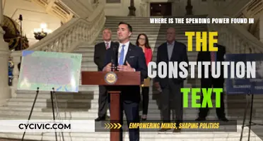 Spending Power: Exploring the Constitution's Implicit Clause