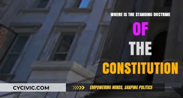 The Standing Doctrine: Constitutional Interpretation