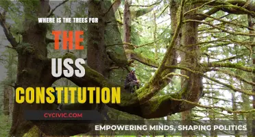 The USS Constitution's Timber Mystery