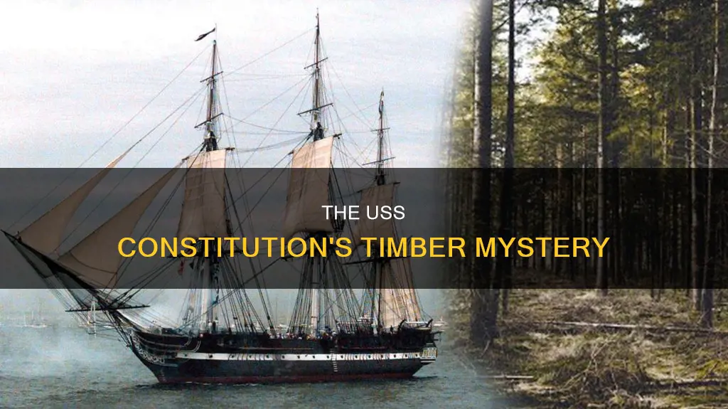 where is the trees for the uss constitution