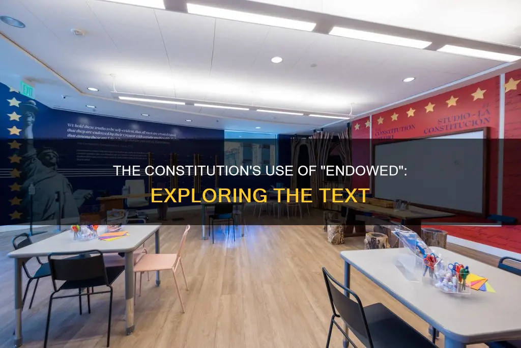 where is the word endowed used in the us constitution