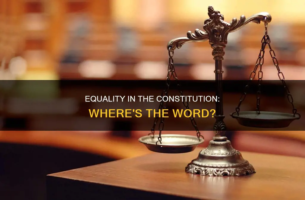 where is the word equality min the constitution