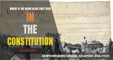 The Dark Origin of the Word 'Slave' in the Constitution