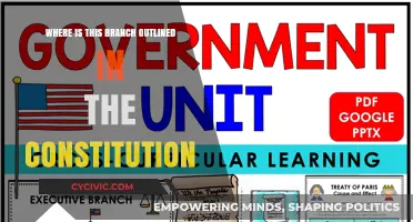 The Constitution's Branches: Where Does it Outline This?