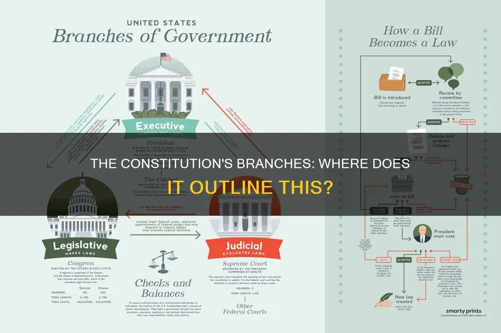 where is this branch outlined in the constitution