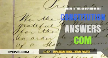 The Constitution's Treason Definition Explained