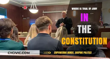 The Constitution's Trial by Jury Clause