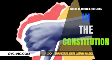 The Constitution's Citizen Voting Rights Explained