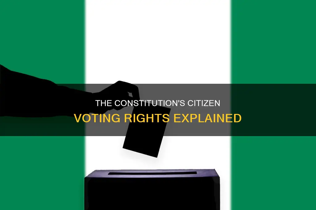where is voting by citizens in the constitution