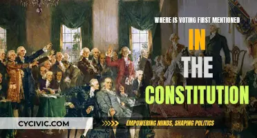 The Constitution's First Mention of Voting