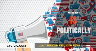 Where News Meets Politics: Navigating the Intersection of Media and Power