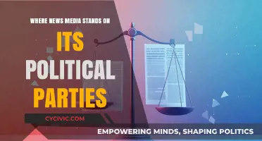 News Media's Political Leanings: Uncovering Biases and Party Alignments