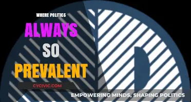 Has Politics Always Shaped Society, or Is It a Modern Phenomenon?