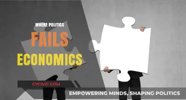 When Politics Fails Economics: The Cost of Misaligned Policies