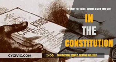 Civil Rights Amendments: Constitutional Cornerstone for Equality
