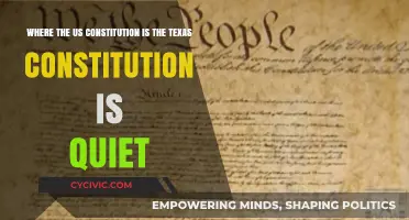 Texas vs. US Constitution: Where Texas is Quiet