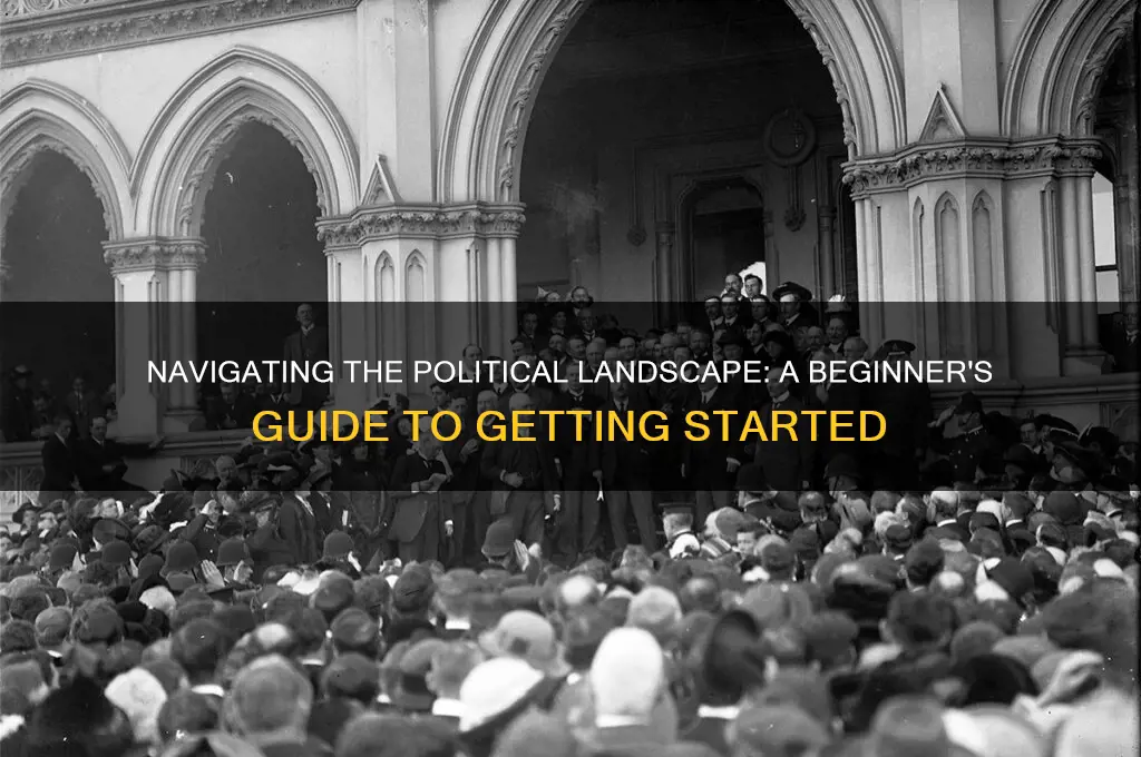 where to begin with politics