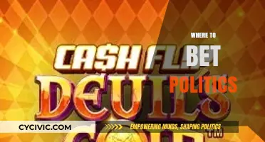 Top Political Betting Platforms: Where to Wager on Politics Safely