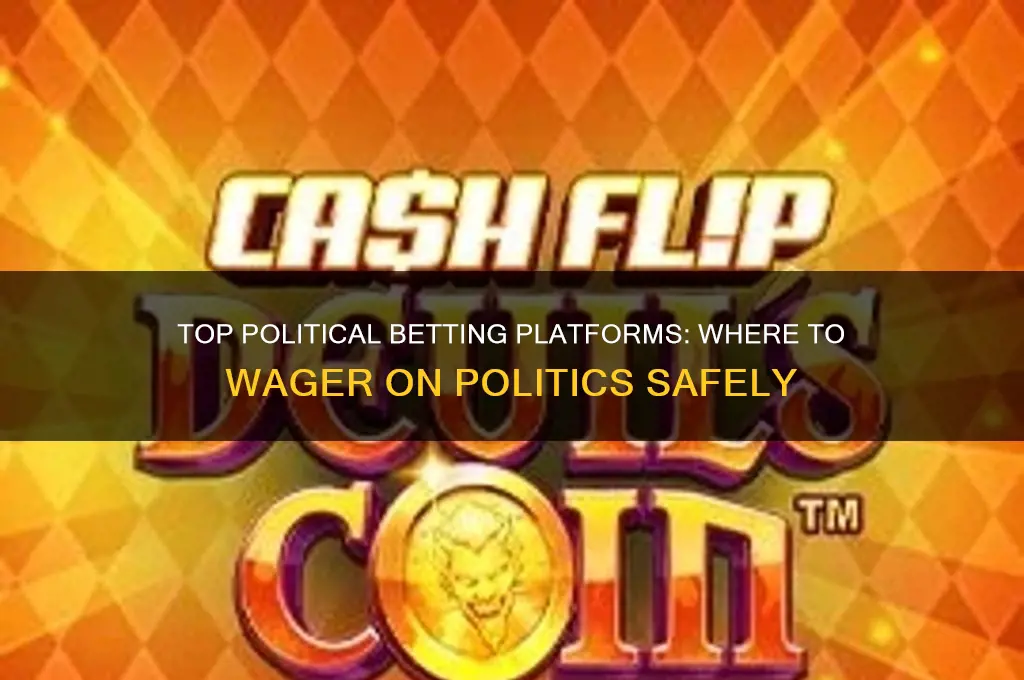where to bet politics