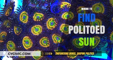 Discover Politoed's Sunny Habitat: Best Locations in Pokémon Games