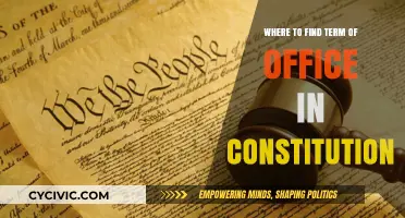 Discovering Term Limits: A Constitutional Exploration