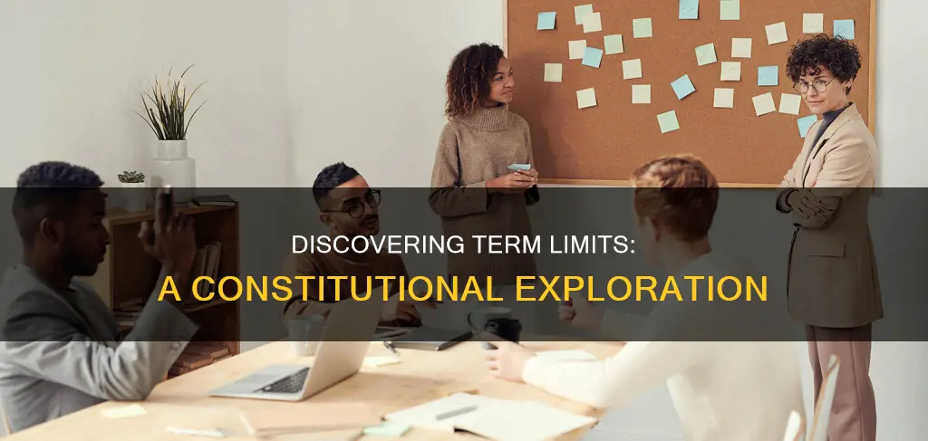 where to find term of office in constitution