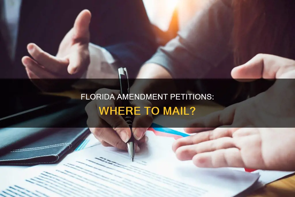 where to mail constitutional amendment petitions in florida