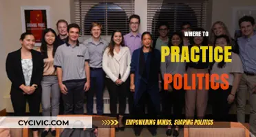 Where to Practice Politics: Local to Global Engagement Opportunities