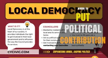 Strategic Political Contributions: Maximizing Impact and Navigating Legal Guidelines