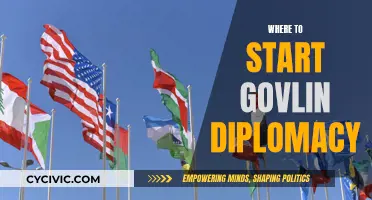 Governing Diplomacy: Where to Start?