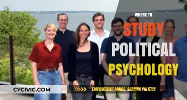 Top Universities for Political Psychology: A Comprehensive Guide to Studying