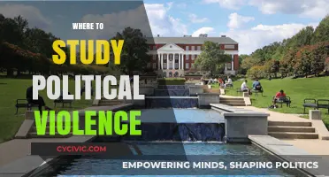Exploring Political Violence: Top Institutions and Programs for In-Depth Study