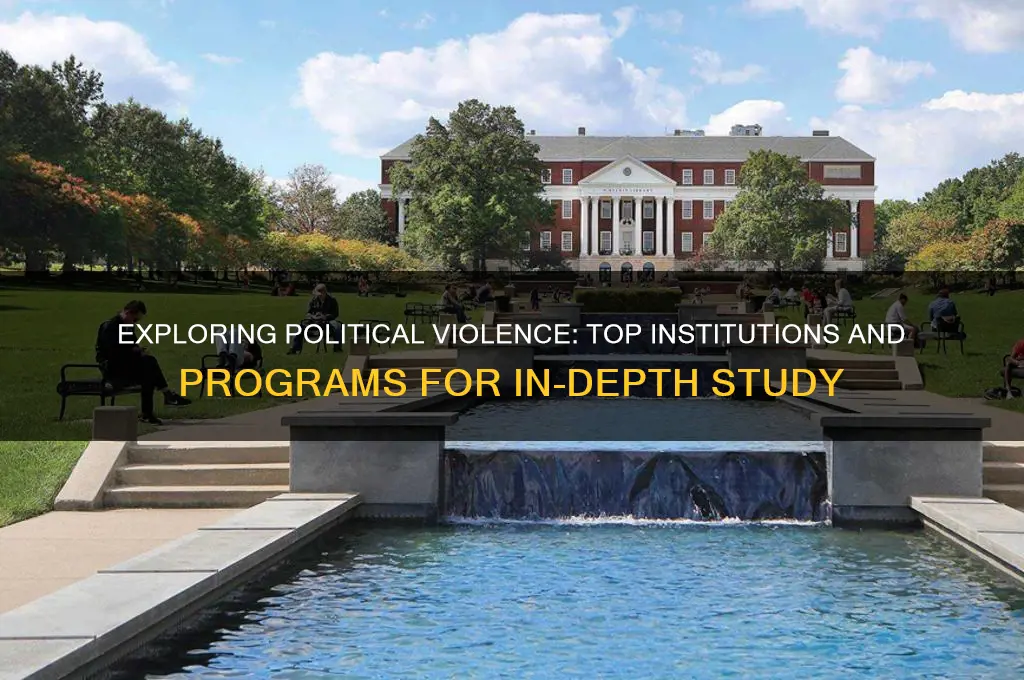 where to study political violence
