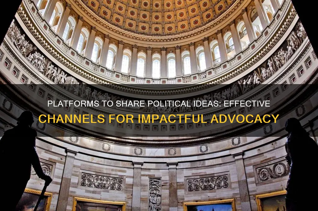 where to submit political ideas