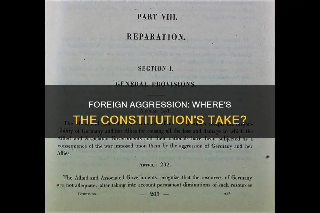 where was foreign lands aggresinon found in the constitution