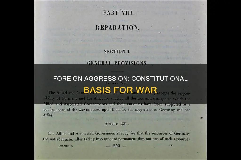 where was foreign lands aggression found in the constitution