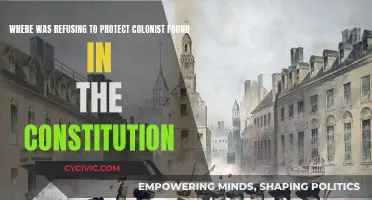 Constitution's Colonist Protection Refusal: Where Was It Found?