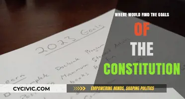 Constitution Goals: A Founding Document's Intent
