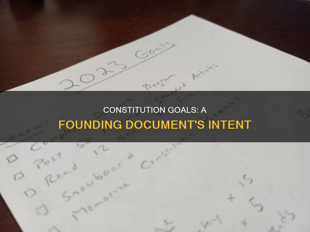 where would find the goals of the constitution