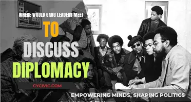 Gangland Diplomacy: Secretive Meeting Places of Gang Leaders