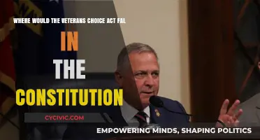 Veterans Choice Act: Constitutional Basis Explored