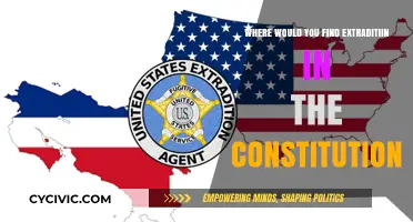 Extradition: A Constitutional Power Play