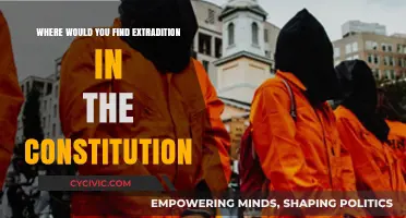 Extradition in the Constitution: Where and How?